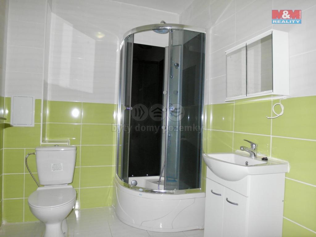 Pronajem bytu 1+1 40 m2