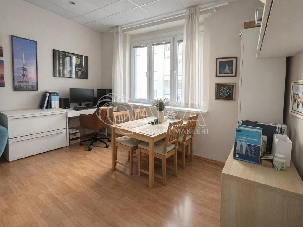 Pronájem bytu 2+1 46 m2