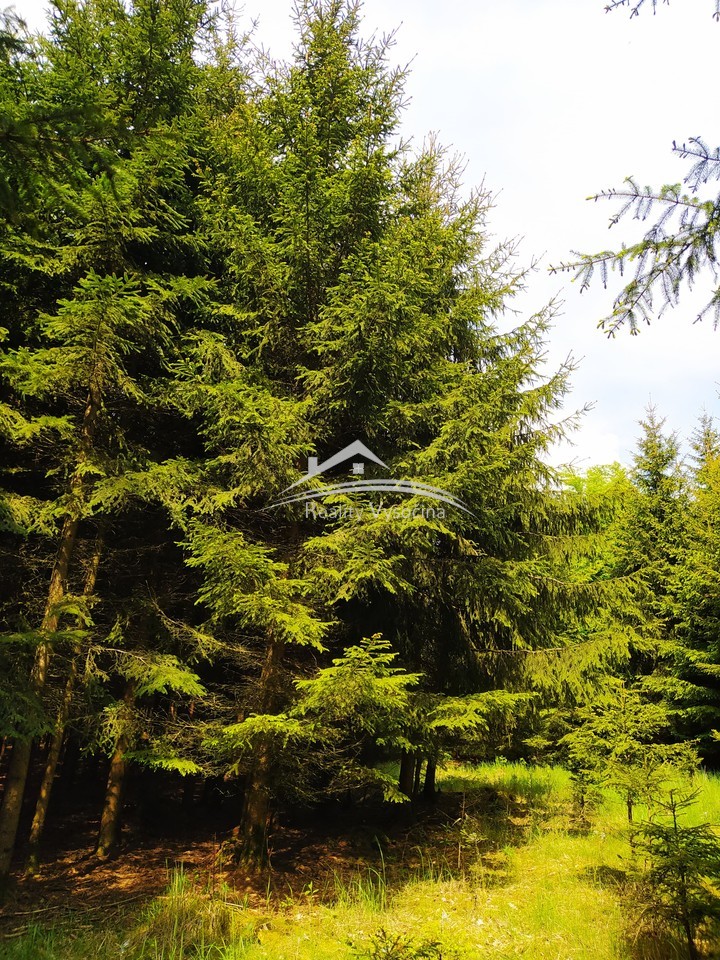 Prodej pozemku – pohled 2
