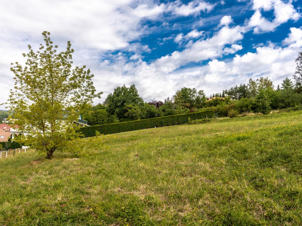 Prodej pozemku 5439 m2, Pozlovice – náhled fotky 31