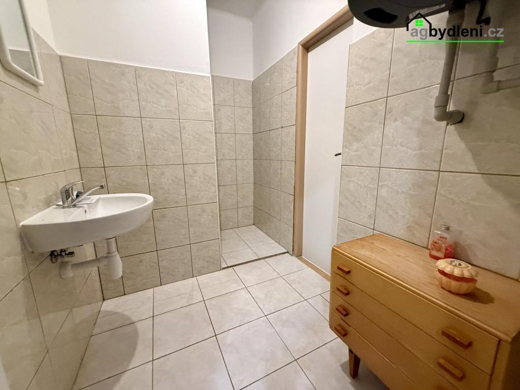 Pronájem bytu 2+1 60 m2