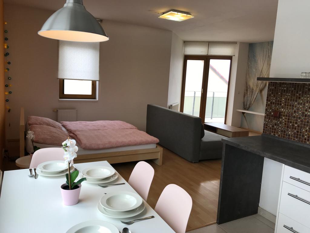 Pronajem bytu 1+kk 47 m2