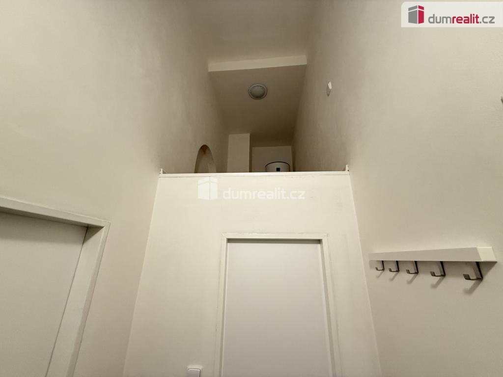Pronájem bytu 1+kk 48 m² – další