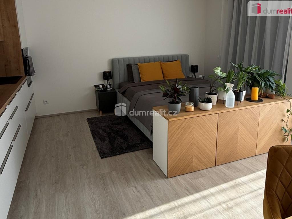 Pronájem bytu 1+kk 37 m2