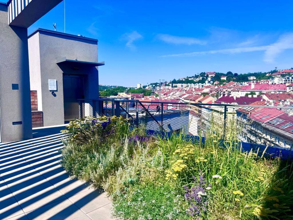 Pronájem bytu 1+kk 25 m2
