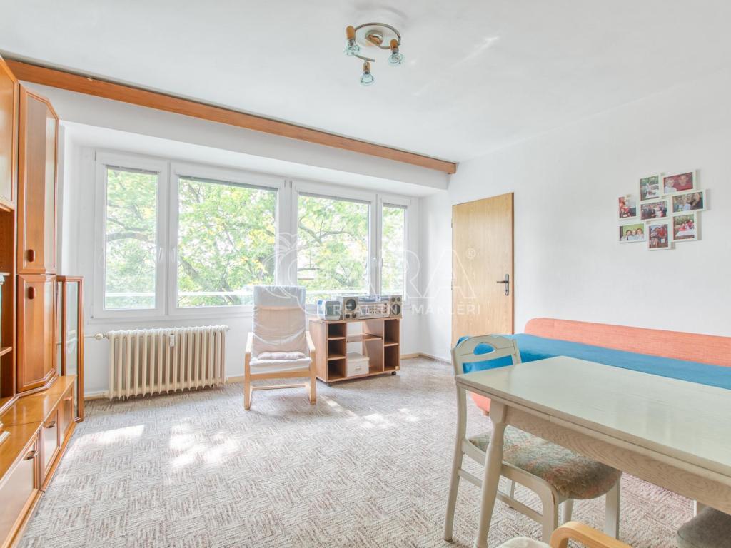 Pronájem bytu 3+1 55 m2