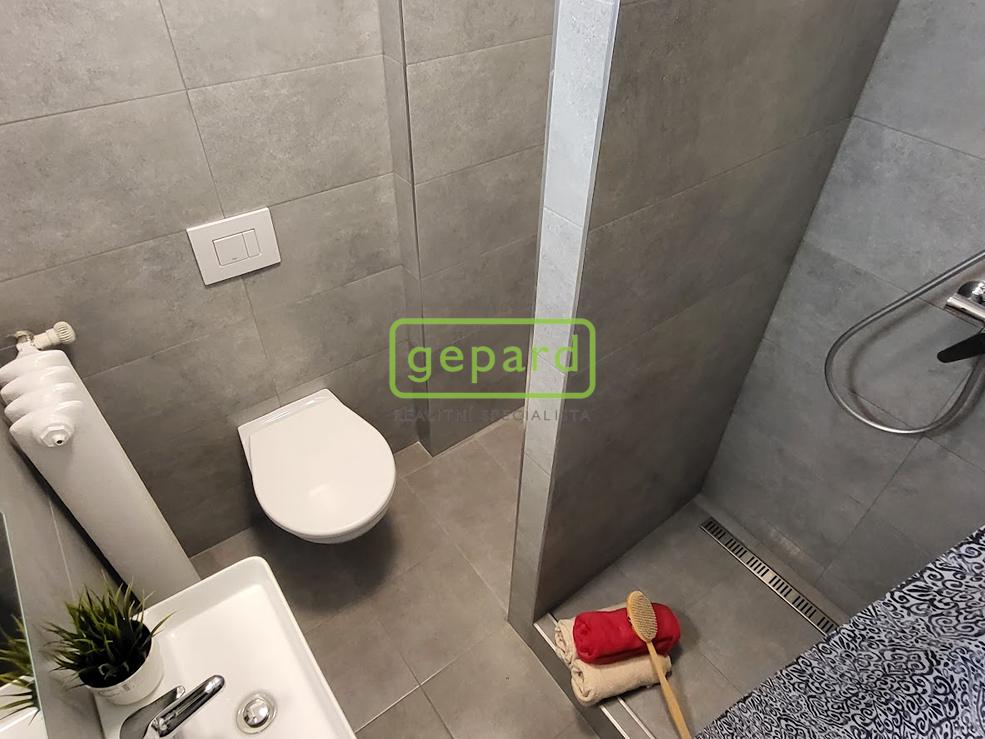 Pronájem bytu 1+1 39 m2