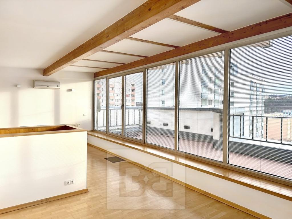Pronájem bytu 4+kk 153 m2