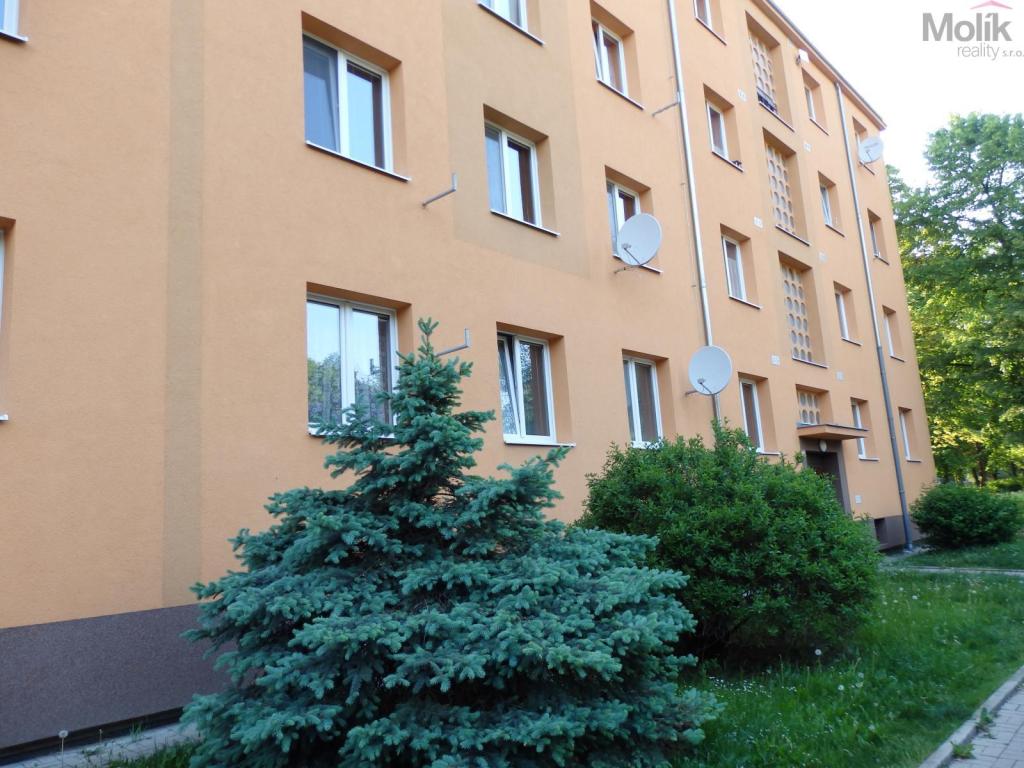 Pronájem bytu 3+1 63 m2