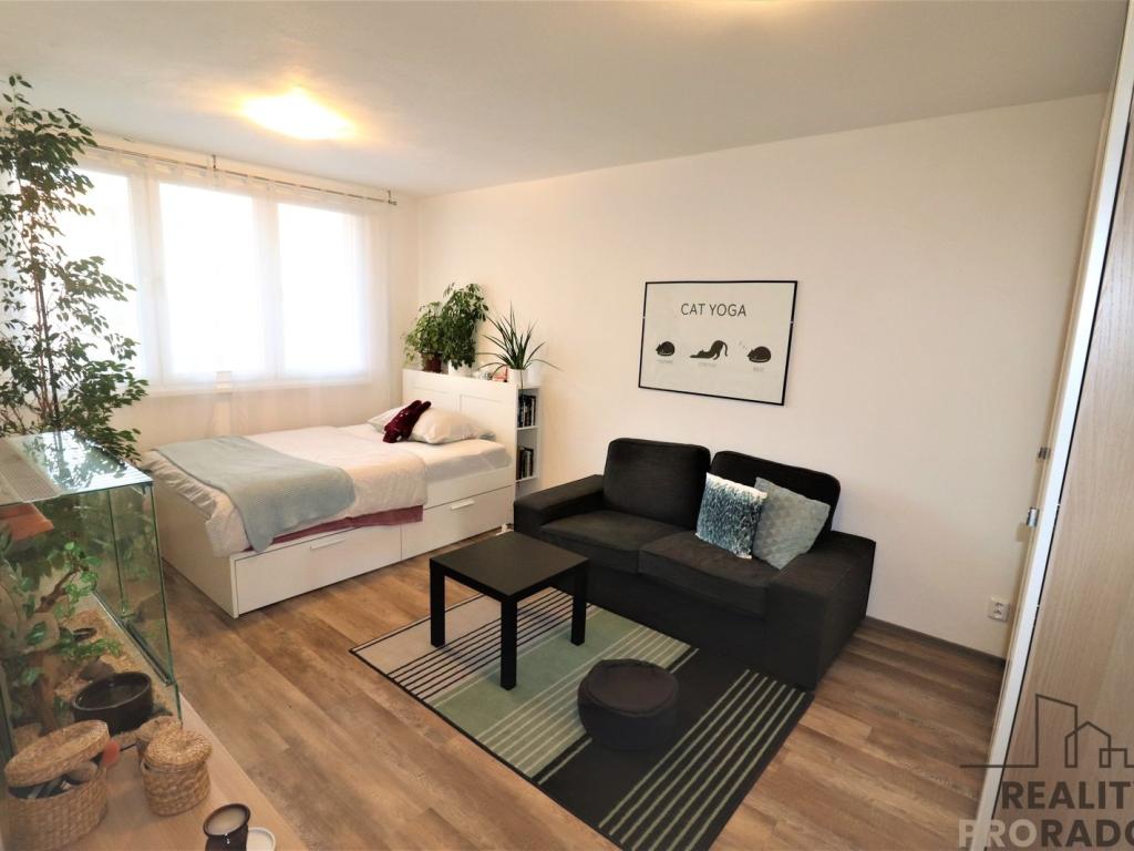 Pronájem 1+1, Ostrava - Petra Křičky, 9500 Kč, 40