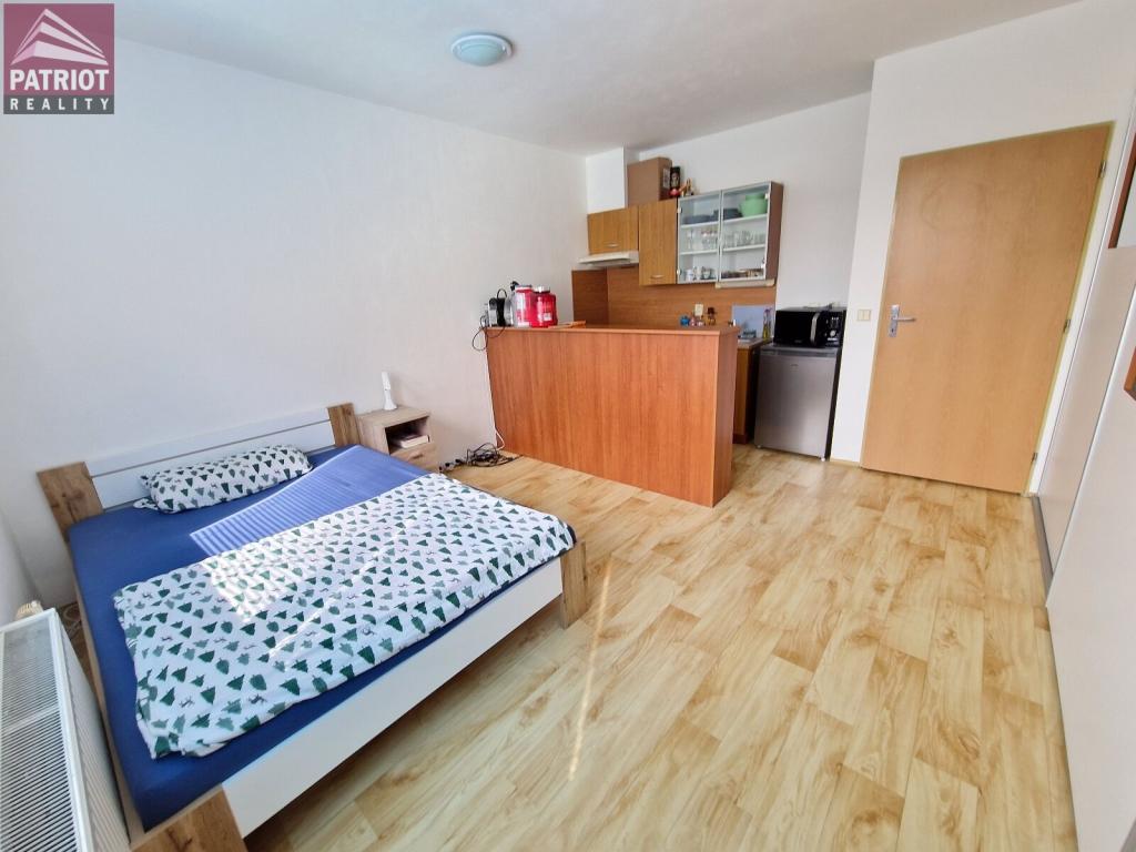 Pronájem bytu 1+kk 25 m2