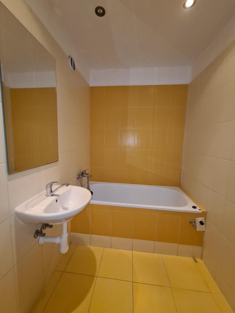 Pronajem bytu 2+1 55 m2