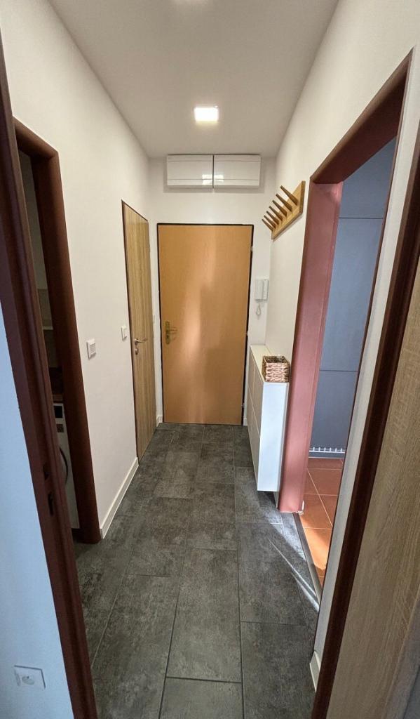 Pronájem bytu 1+1 52 m2