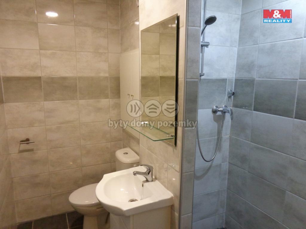 Pronajem bytu 1+kk 33 m2
