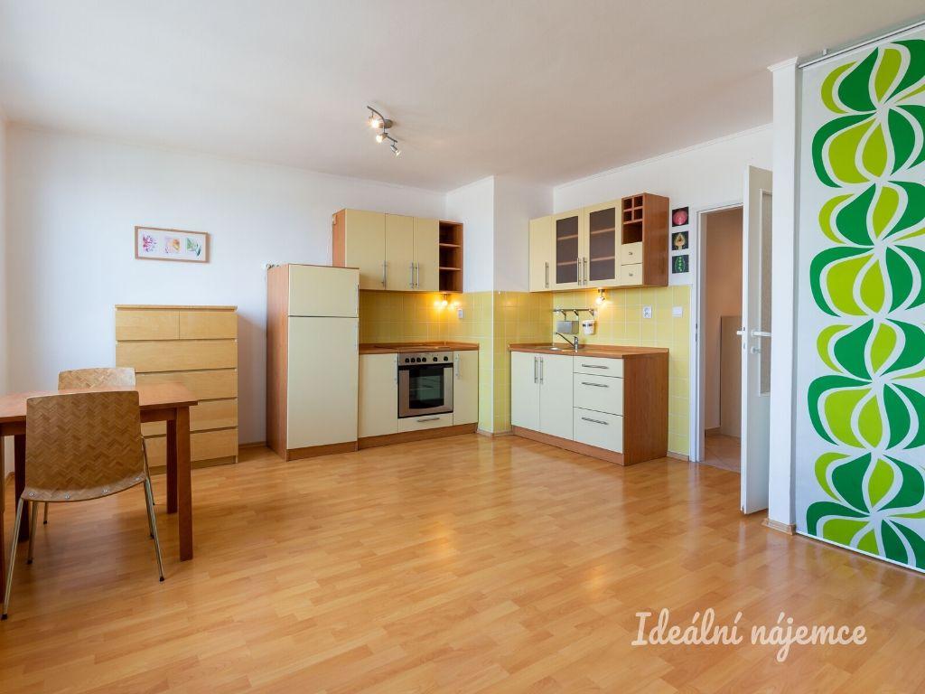 Pronájem bytu 1+kk 40 m2