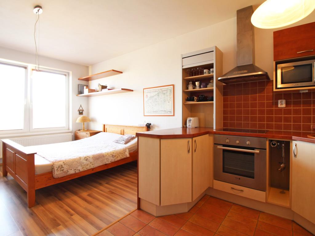 Pronájem bytu 1+kk 38 m2