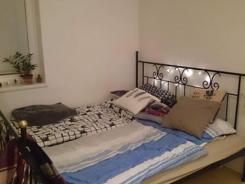 Spolubydleni bytu celý pokoj 16 m2