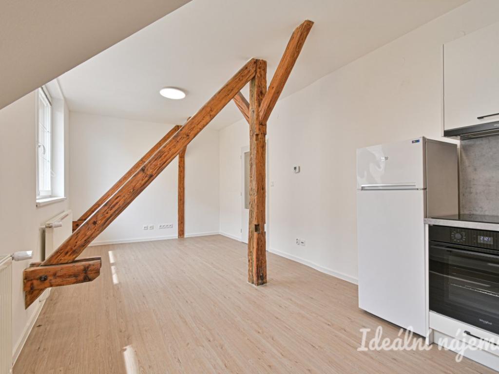 Pronájem bytu 1+1 45 m2