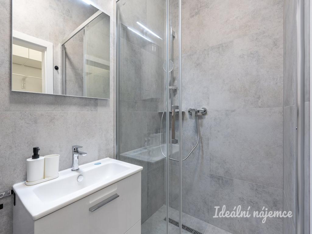 Pronájem bytu 1+kk 25 m2