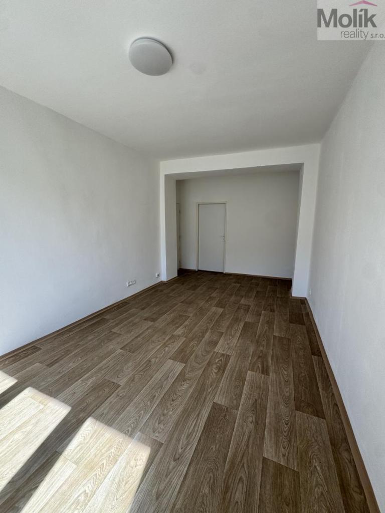 Pronájem bytu 2+1 54 m2