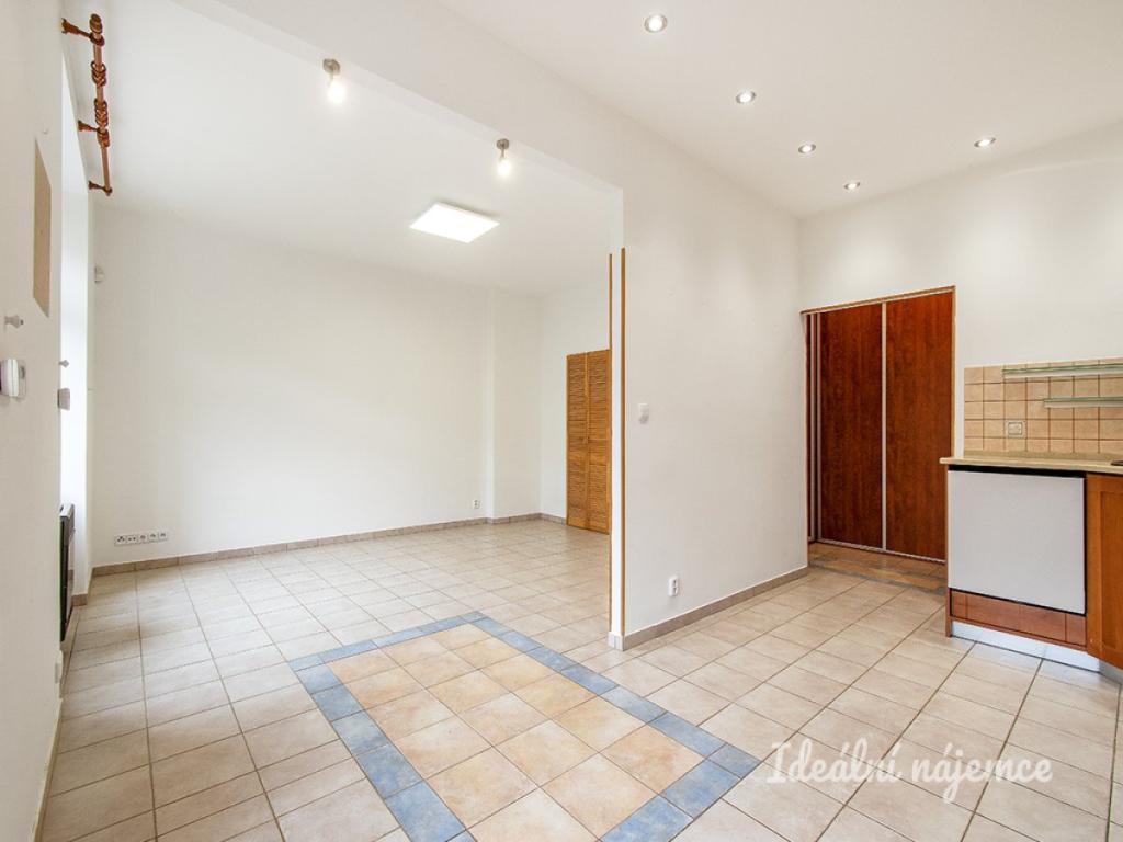 Pronájem bytu 1+1 43 m2