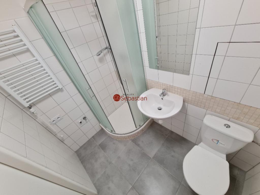 Pronájem bytu 1+1 36 m2