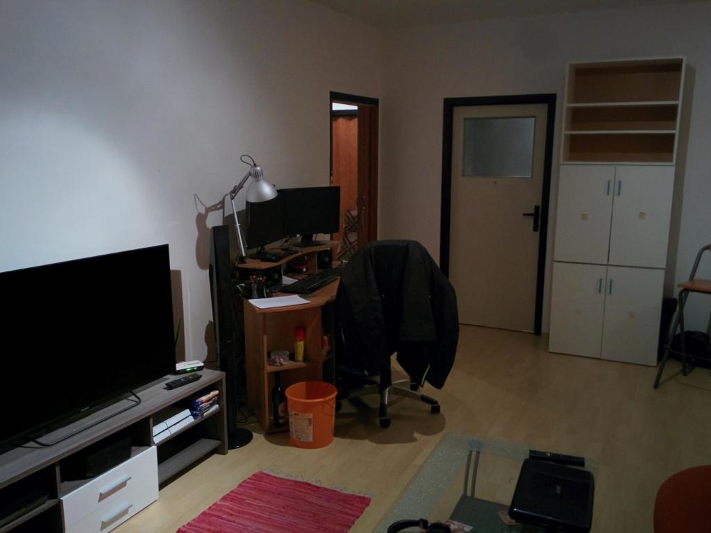 Spolubydleni bytu celý pokoj 24 m2