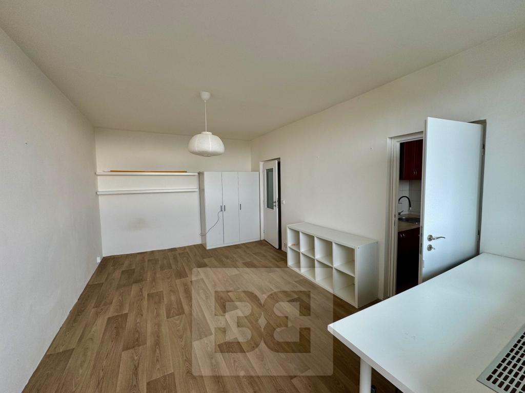 Pronájem bytu 1+1 30 m2