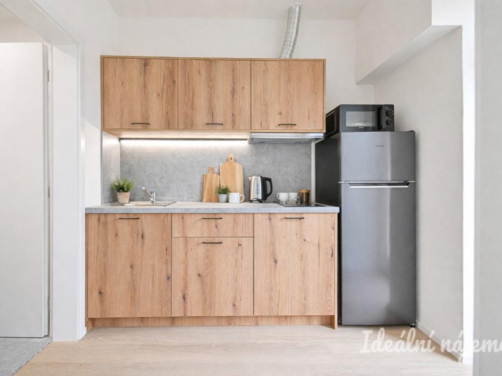 Pronájem bytu 1+1 25 m2