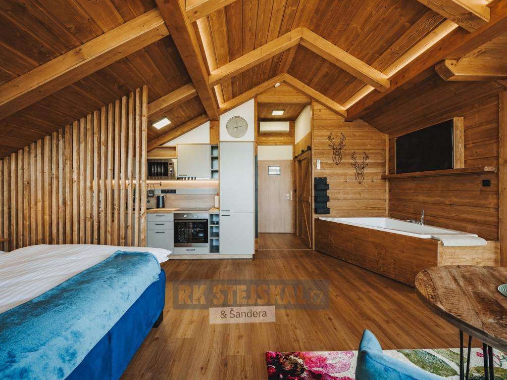 Pronájem bytu 1+kk 42 m2