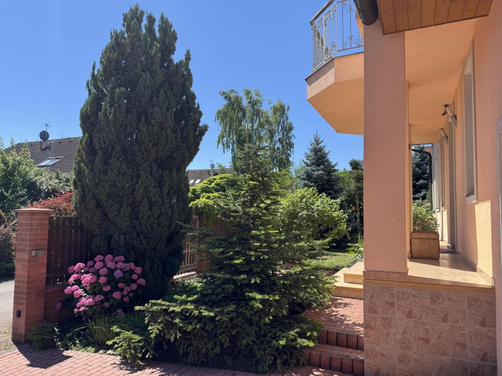 Prodej domu 301 m2