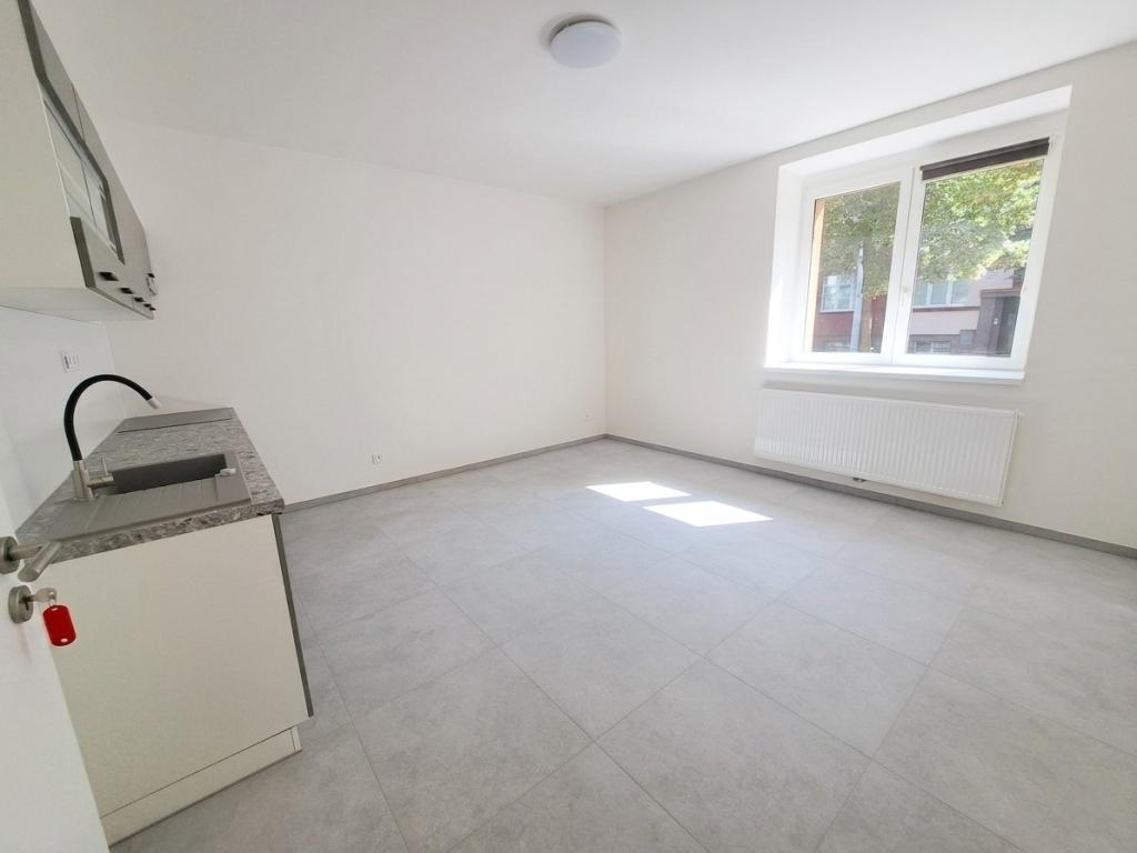 Pronájem bytu 1+1 45 m2