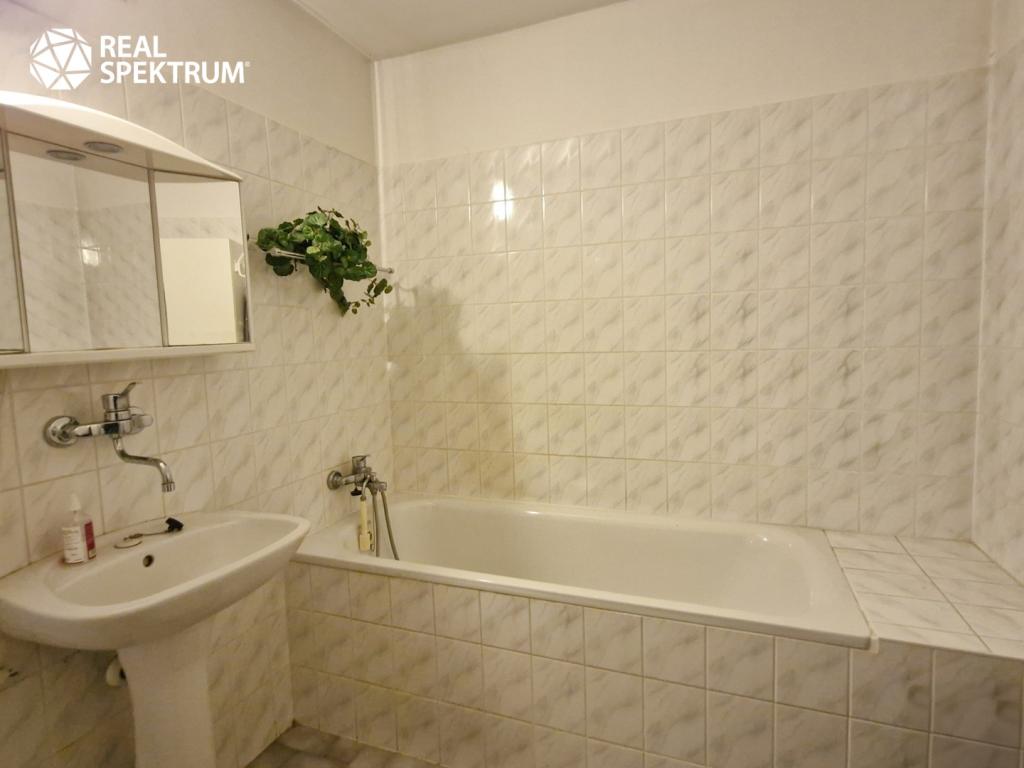Pronájem domu 90 m2
