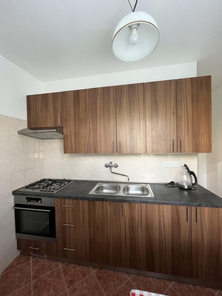 Pronájem bytu 1+1 40 m2