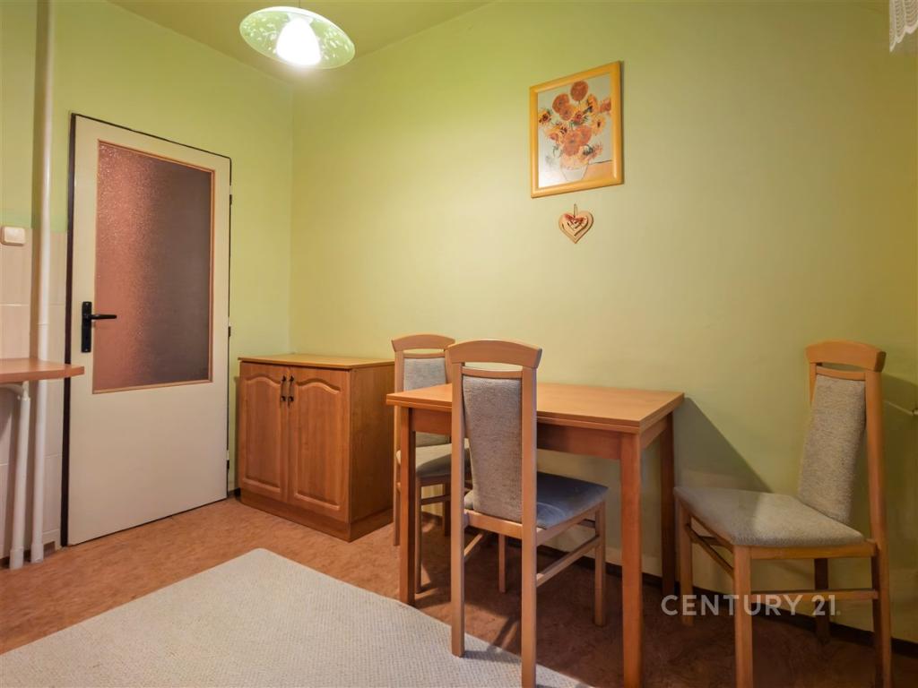 Pronájem bytu 1+1 42 m2