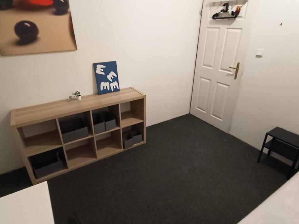 Pronajem bytu celý pokoj 18 m2