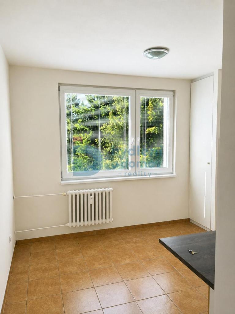 Pronájem bytu 1+1 32 m2