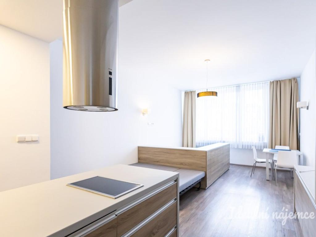 Pronájem bytu 1+kk 38 m2