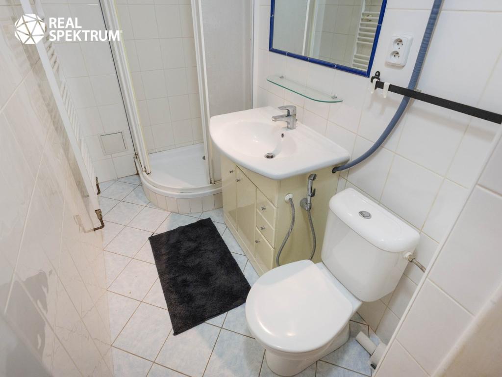 Prodej bytu 2+1 75 m2, Brno – náhled fotky 19