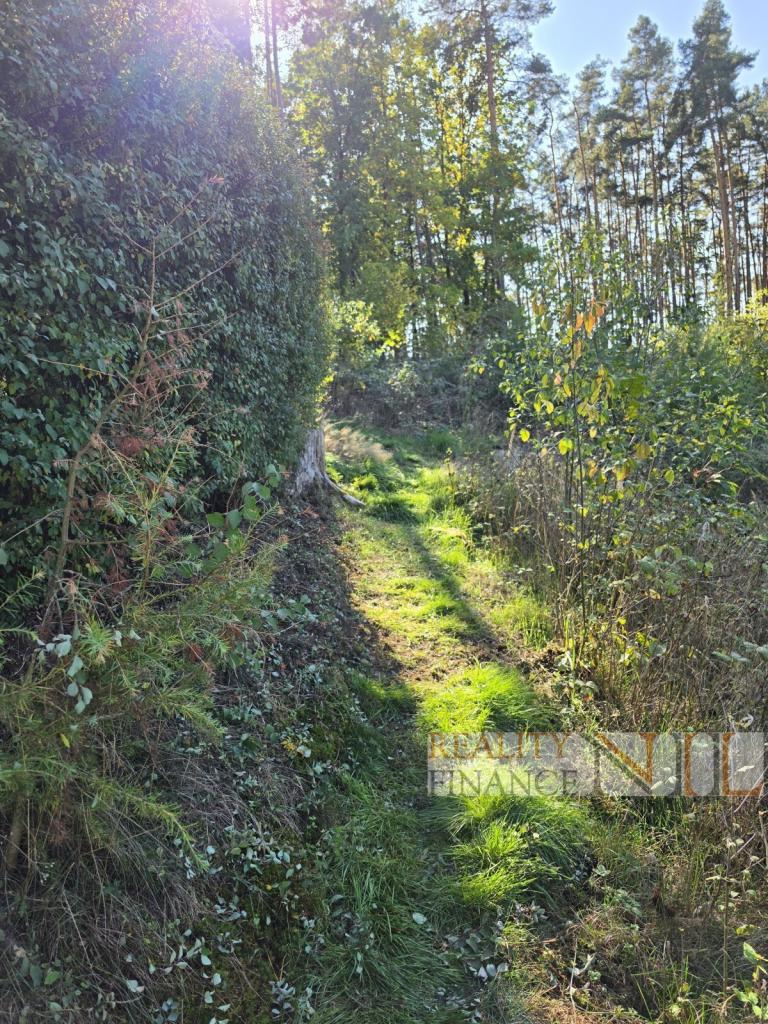 Prodej domu 54 m2, Pňovany – náhled fotky 22