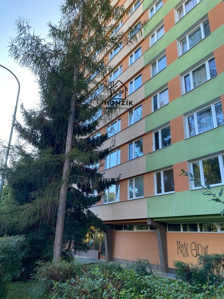 Pronájem bytu 3+kk 61 m2, Praha – náhled fotky 20