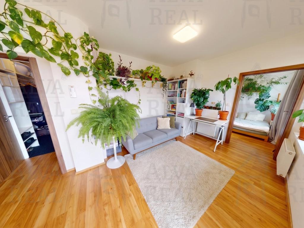 Pronájem bytu 2+kk 53 m2