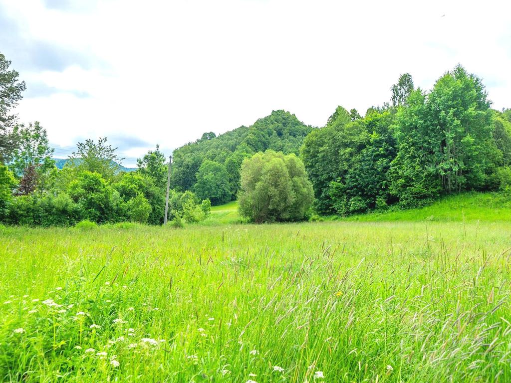 Pronájem bytu 2+kk 55 m2, Brno – náhled fotky 30