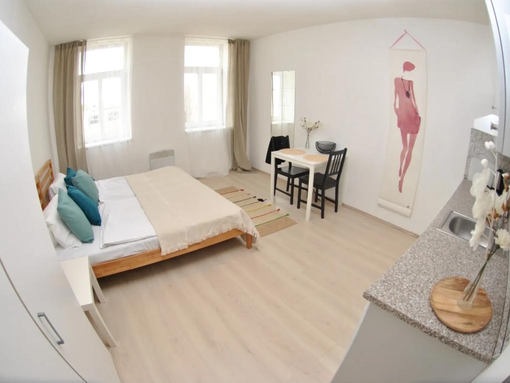 1-room apartment for rent · 23 m² · Brno — 597 €/mo