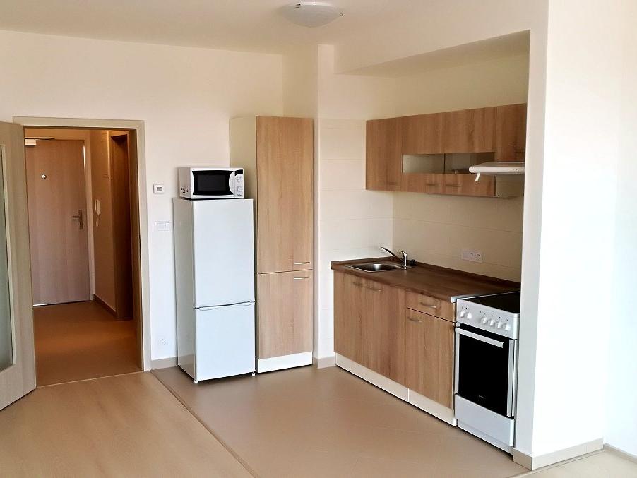 Pronájem bytu 1+kk 38 m2
