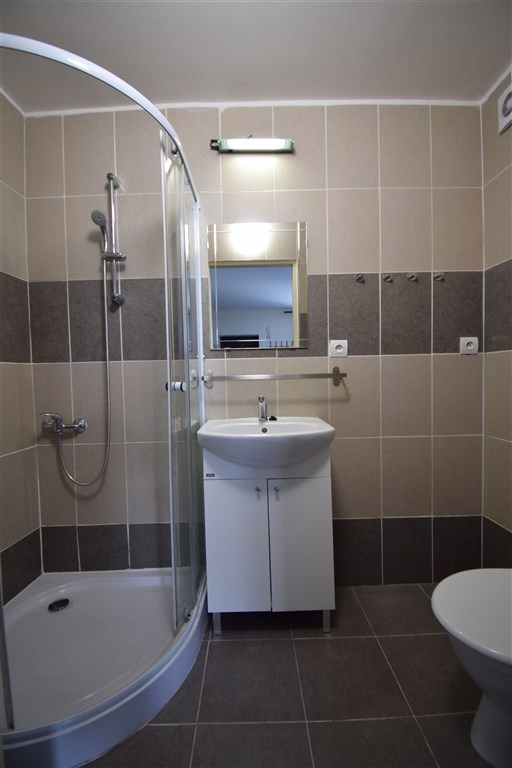 Pronájem bytu 1+kk 30 m2, Brno – náhled fotky 8