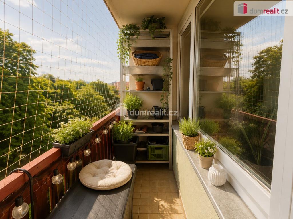 Pronájem bytu 3+1 65 m2