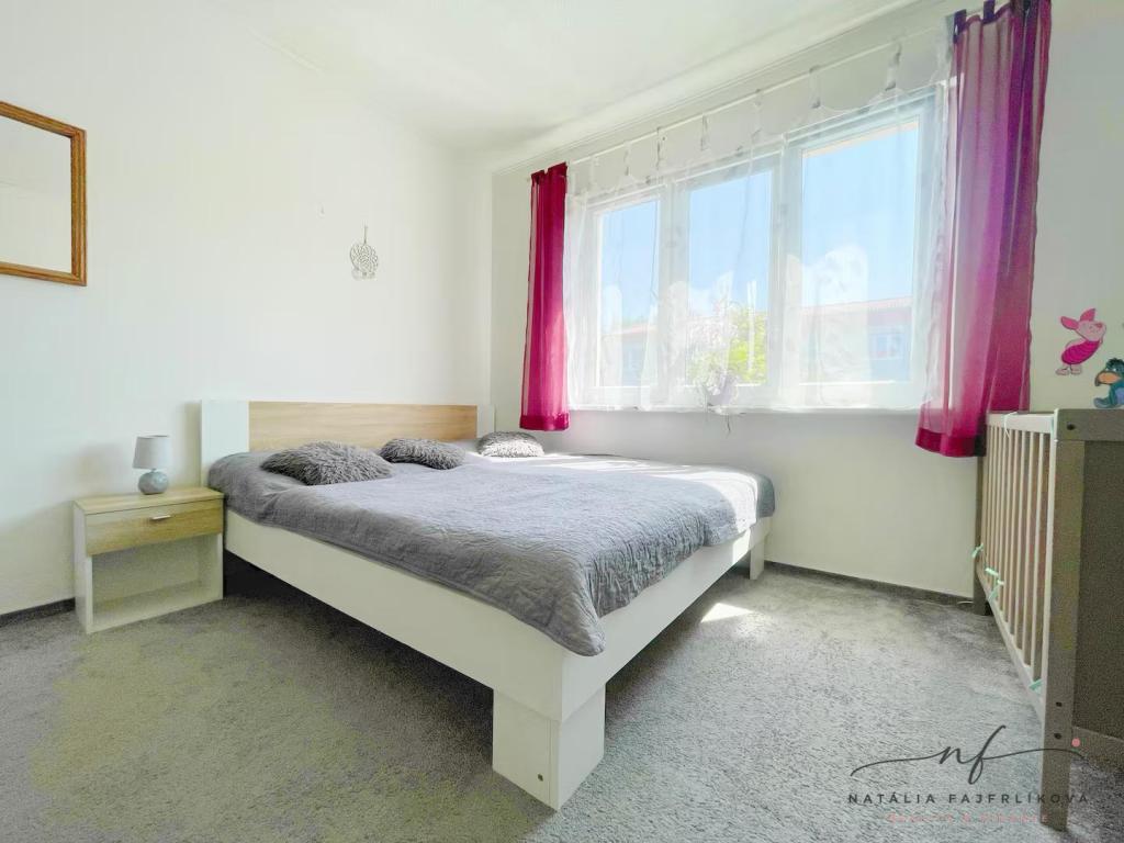 Pronájem bytu 2+1 64 m2, Ostrov – náhled fotky 8