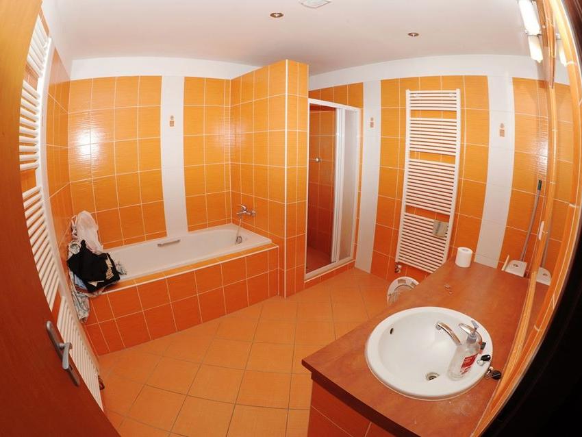 Spolubydleni bytu celý pokoj 114 m2