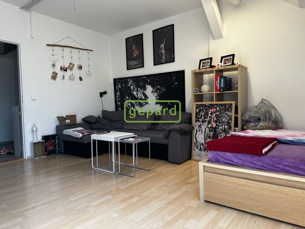 Pronájem bytu 1+1 55 m2